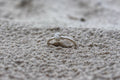 The Origin Seed memorial ring — Week 4 pregnancy loss keepsake | NOVA EMBRACE South Africa