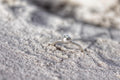 The Blue Presence memorial ring — Week 7 pregnancy loss keepsake | NOVA EMBRACE South Africa